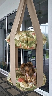 Dla kota ze starych podusze...