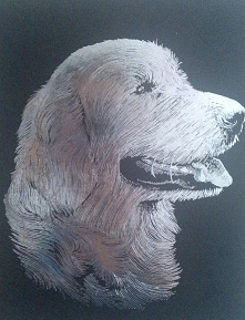 Obrazek do wydrapania z Lidla za 14,99 - PIES. Więcej po kliknięciu w zdjęcie :)