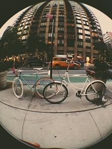 "Chyba nigdy nie jest za późno i na nic nie jest za późno, kiedy w grę wchodzi człowiek. Nawet tego, który odszedł, można dogonić."
Krystyna Siesicka – Zapałka na zakr...