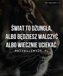 walczyć!