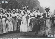 śląskie stroje kobiece