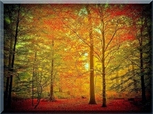 Sprawdź co oznacza Twoja data urodzenia! Urodzeni 02 października.