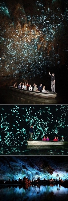 New Zealand - Glow Worm Caves