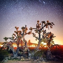 Stuart Palley jest fotografem pochodzącym z Los Angeles. Uwiecznia on piękne krajobrazy.