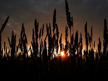 zachód słońca
[własne]