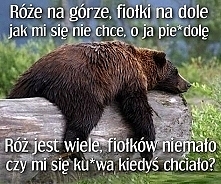 szkoła...