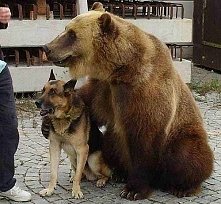 Przyjaźń nie zna ograniczeń rasowych :P