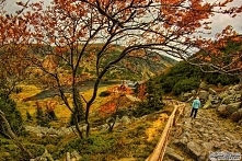 Karkonosze - schronisko Samotnia