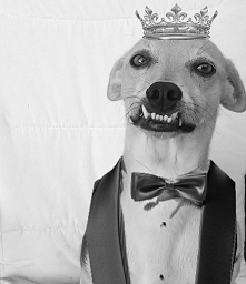 głosujcie na mojego przysto...