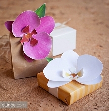 papierowe orchidee (+ wzory...