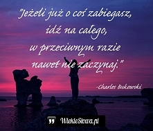 Jeżeli już o coś zabiegasz, idź na całego…