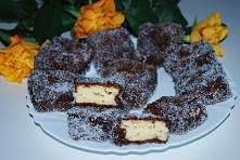 Lamingtony , kudłacze