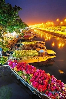 Ships at Saigon Flower Market at Tet, Vietnam