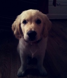 rosnę jak na drożdżach ♡