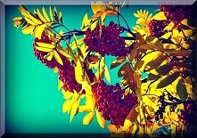 Sprawdź co oznacza Twoja data urodzenia! Urodzeni 16 listopada.