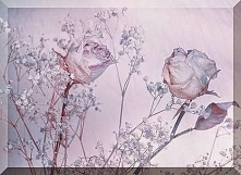 Sprawdź co oznacza Twoja data urodzenia! Urodzeni 18 listopada.