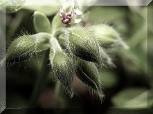 Sprawdź co oznacza Twoja data urodzenia! Urodzeni 28 listopada.