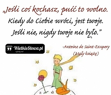 „Jeśli coś kochasz, puść to wolno. Kiedy do Ciebie wróci, jest twoje. Jeśli nie, nigdy twoje nie było.”
– Antoine de Saint-Exupery