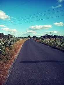 takie widoki podczas jazdy ...