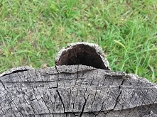 sama zrobiłam zdjęcie ;d