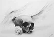 [initium novum]

by nicofey