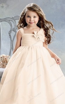 Organza Straight Neck Dress By Jordan Sweet Beginnings Collection L394