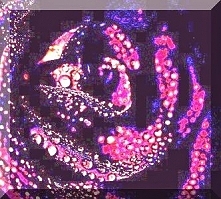 Sprawdź co oznacza Twoja data urodzenia! Urodzeni 22 stycznia.