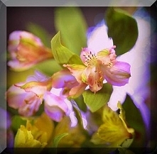 Sprawdź co oznacza Twoja data urodzenia! Urodzeni 29 stycznia.