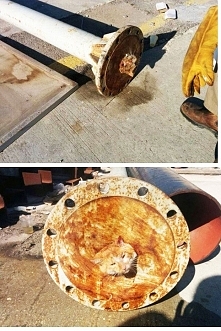 Przechodzący mężczyzna dostrzegł, że z grubej rury wystaje czyjaś głowa. Całe szczęście, że postanowił to sprawdzić! WIĘCEJ PO KLIKNIĘCIU W OBRAZEK.