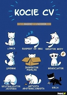 kotecki;*
