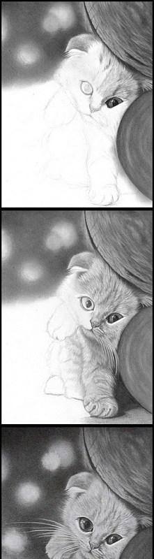 Jak rysować sierść. Tutorial by titolec <klik>