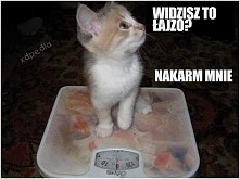 widzisz? :P