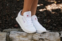 sprzedam 165 zł nowe 0 zł wysylka