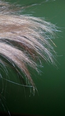 Hej:-* mam do Was pytanie. Mam ładne włosy, tylko końcówki są bardzo zniszczone, mimo że niedawno je obcinałam. Nie prostuję włosów i nie robię nic innego co mogłoby je zniszczy...