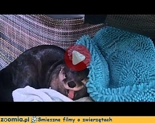 Czas wstawać :) Więcej na Z...