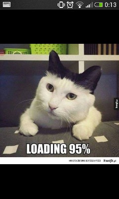 Loading 95%