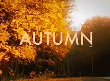 autumn