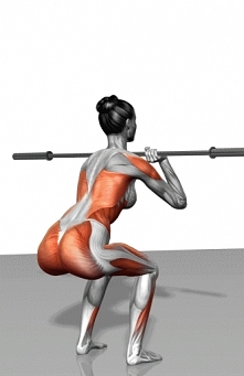 Jak wykonać prawidłowo przysiady na okrągłe pośladki?

Zobacz, które partie mięśni pracują przy dobrze zrobionych przysiadach :)