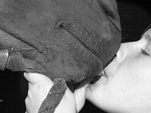 Mam pytanie do osób,  które mają konia: Jakim materiałem wybudować stajnie ale oczywiście NAJTAŃSZYM KOSZTEM!? :)