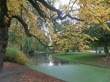 złota jesień park