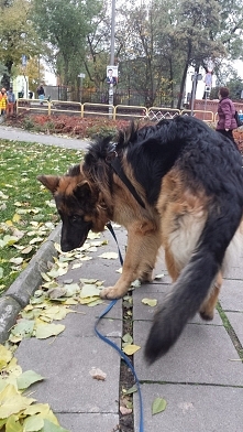 Moje liscie odwal sie od moich lisci hrr..