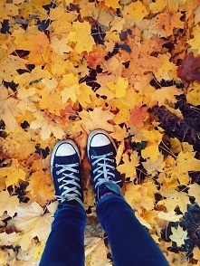 Love Fall :))
