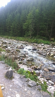 Dolina Kościelisko-spacer