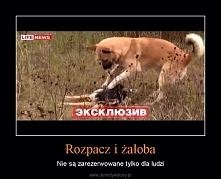 ......