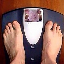 pilnie poszukiwana motywacj...