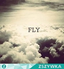 Fly.