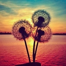 *.* 
