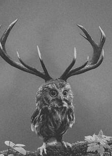 #sowa #blackandwithe