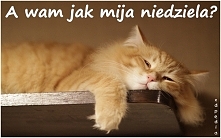 miłego późnego popołudnia :0)