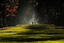 Chyba najpiękniejsza aleja parkowa w Łodzi. Zdrowie.

fot. Mariusz Jędraszczyk